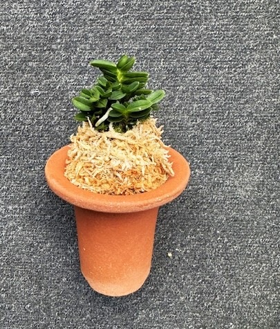 �ٵ���������ݡ����ܻ��դ�