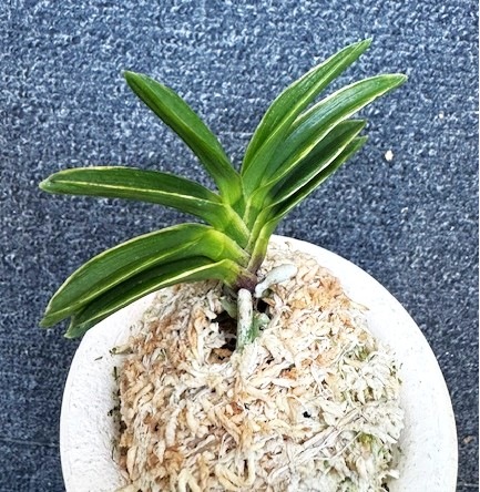 ���ٵ��������顡����Ω��