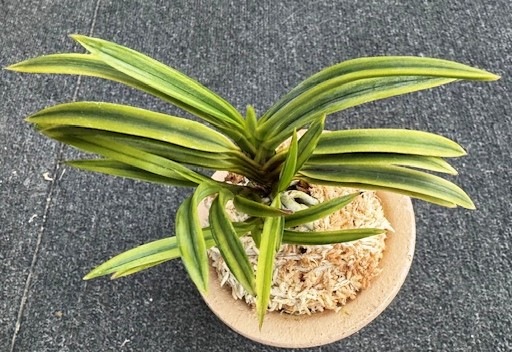 �ٵ�����ּ�������ܻ��դ�