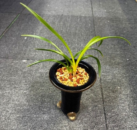 �ڹ������˾����ڣ���Ω��