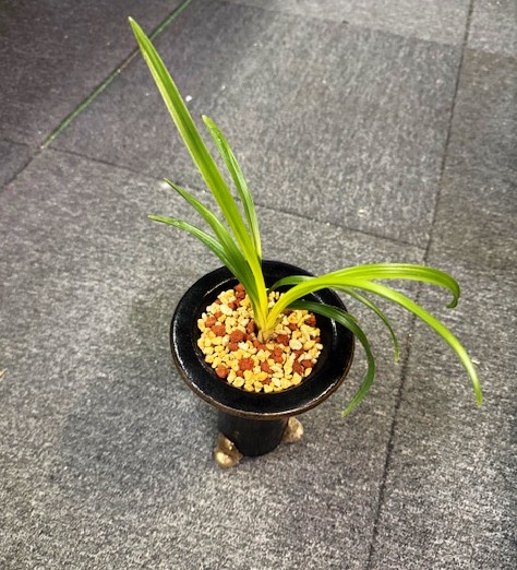 �ڹ������˾����ڣ���Ω��