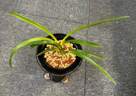 �ڹ������˾����ڣ���Ω��