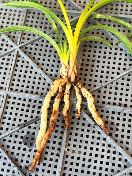 �ڹ������˾����ڣ���Ω��