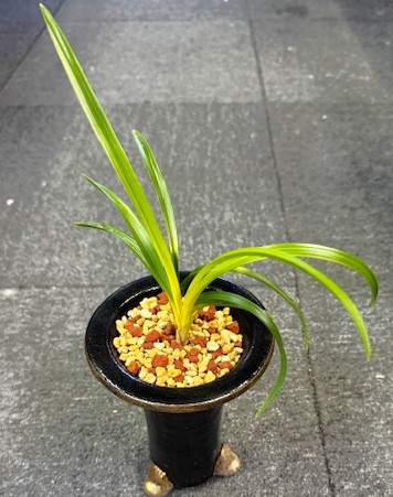 �ڹ������˾����ڣ���Ω��