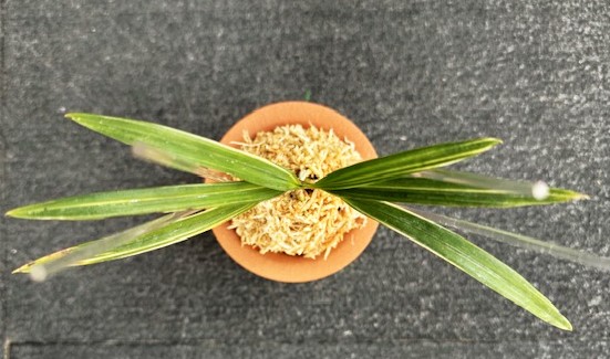 �����ٵ�������ζ��������Ω��