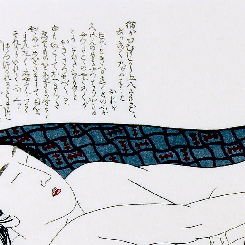 葛飾北斎 浮世絵春画「つひの雛形」※北斎あぶな絵名画撰 特彫り