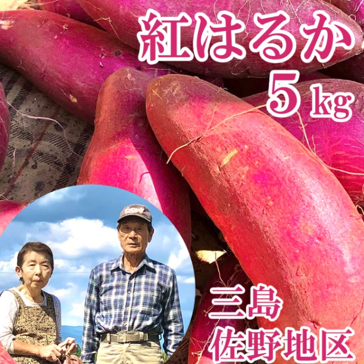 糖度が高く焼き芋としても ◎ 紅はるか さつまいも 5kg 【滝の会（勝俣さつき）】