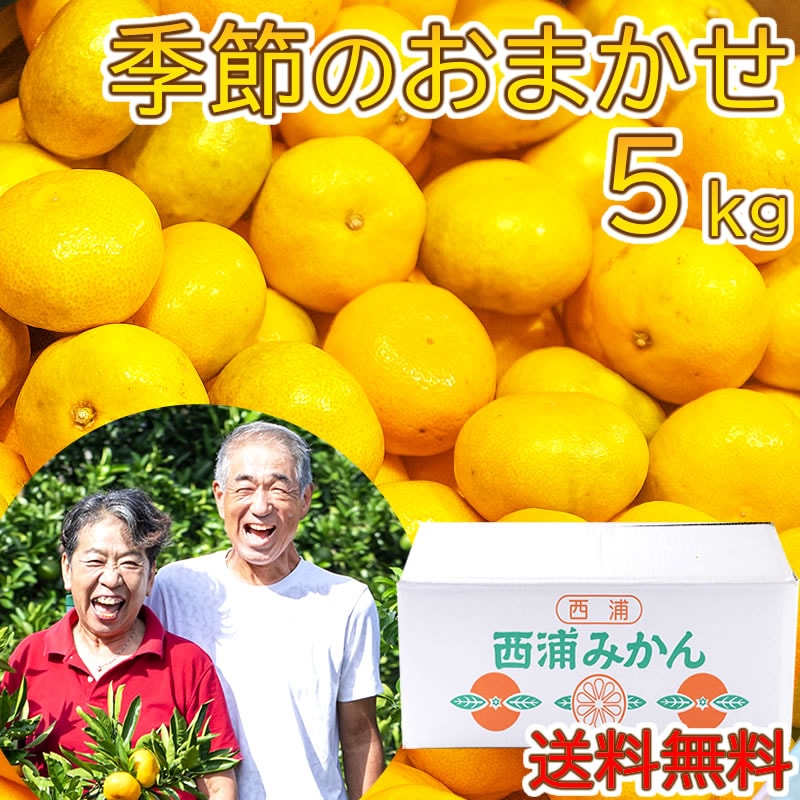 完売しました◎ 中生 晩生 季節変化が楽しい 西浦 温州みかん 5kg 【大川みかん園】