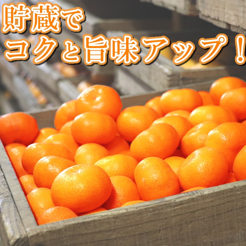 春 果物 プレゼント ギフト◎静岡 西浦 ブランド 温州 寿太郎 みかん 5kg 【大浜園 相磯和余】