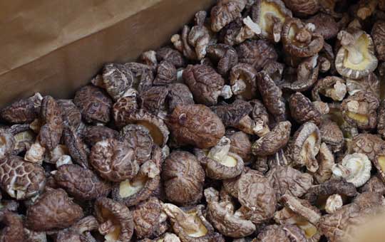 5月再開予定 ◎旨味が濃縮!徳用しいたけ◎原木干し椎茸150g【森野善長】