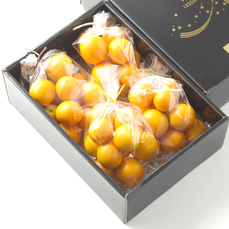 完売しました！まるごと美味しい！ 希少な 極甘きんかん♪こん太 実まで美味しい 金柑  希少品種 200g×4袋【鈴木農園】 （2023年中旬～3月中旬限定）