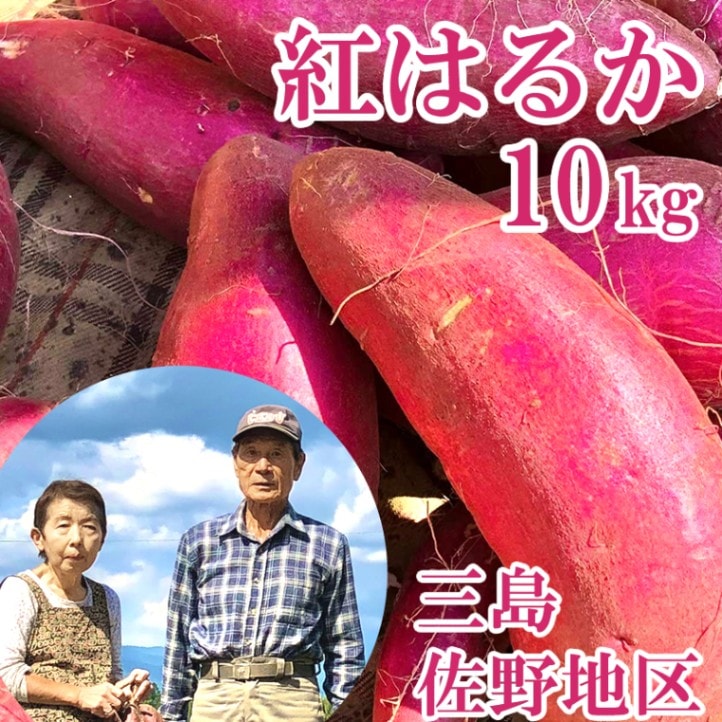 糖度が高く焼き芋としても ◎ 三島 佐野 甘藷 紅はるかのさつまいも 10kg【滝の会(勝俣さつき)】
