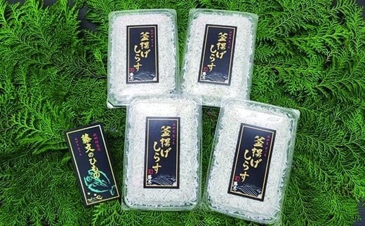 定番！駿河湾産 釜揚げしらす 150g×4【藤文】