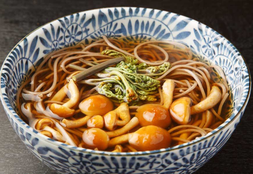 静岡県伊豆名産 ◎ 肉厚しいたけ なめこ 希少 国産生キクラゲ ◎ きのこ3点セット 1000g 【星谷きのこ園】  【短冊のし対応】