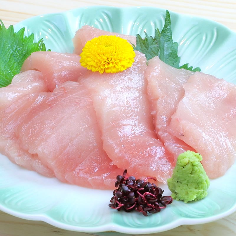 脂ノリが別格!とろける味わい♪脂びん長まぐろ ビンチョウマグロ 鮪切落し 250g×4【SANKO海商】