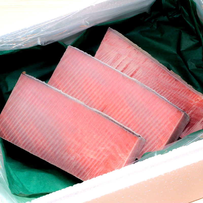 40年の経験が選ぶ味!めばち鮪 目鉢まぐろ中トロ柵 1kg【SANKO海商】