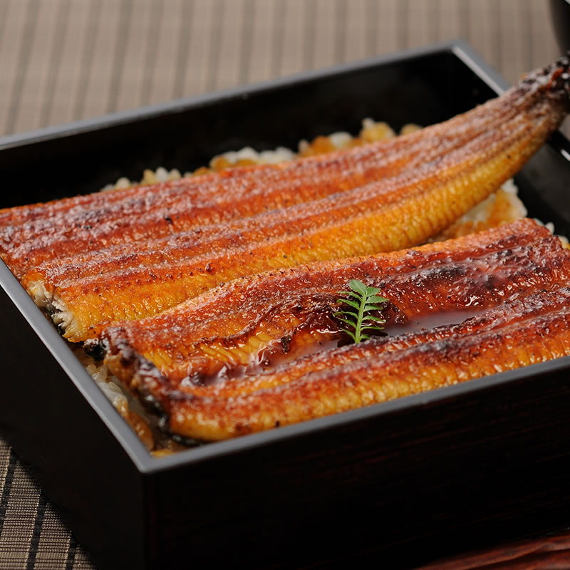 うなぎ一筋110年！浜名湖うなぎ蒲焼き 2尾セット【大和養魚】 ギフト対応◎