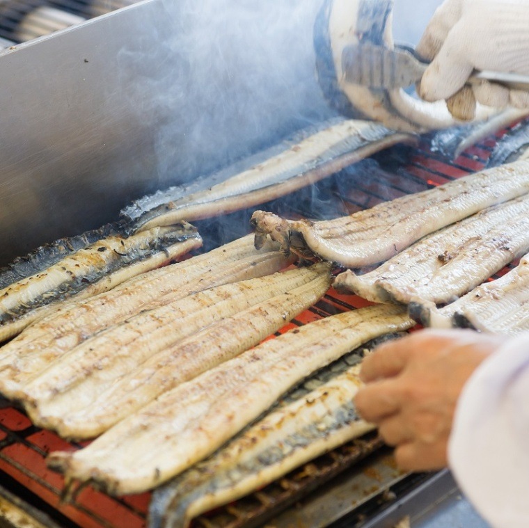 うなぎ一筋110年！浜名湖うなぎ蒲焼き 2尾セット【大和養魚】 ギフト対応◎