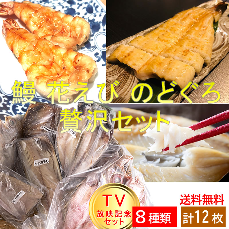 12か月以上待ち ◎ 沸騰ワード10放送記念セット 鰻 海老 のどぐろの干物など8種12品 金目鯛 ビントロ  贅沢セット！ 【干物屋ふじま】【ハイパー干物クリエイター藤間義孝】