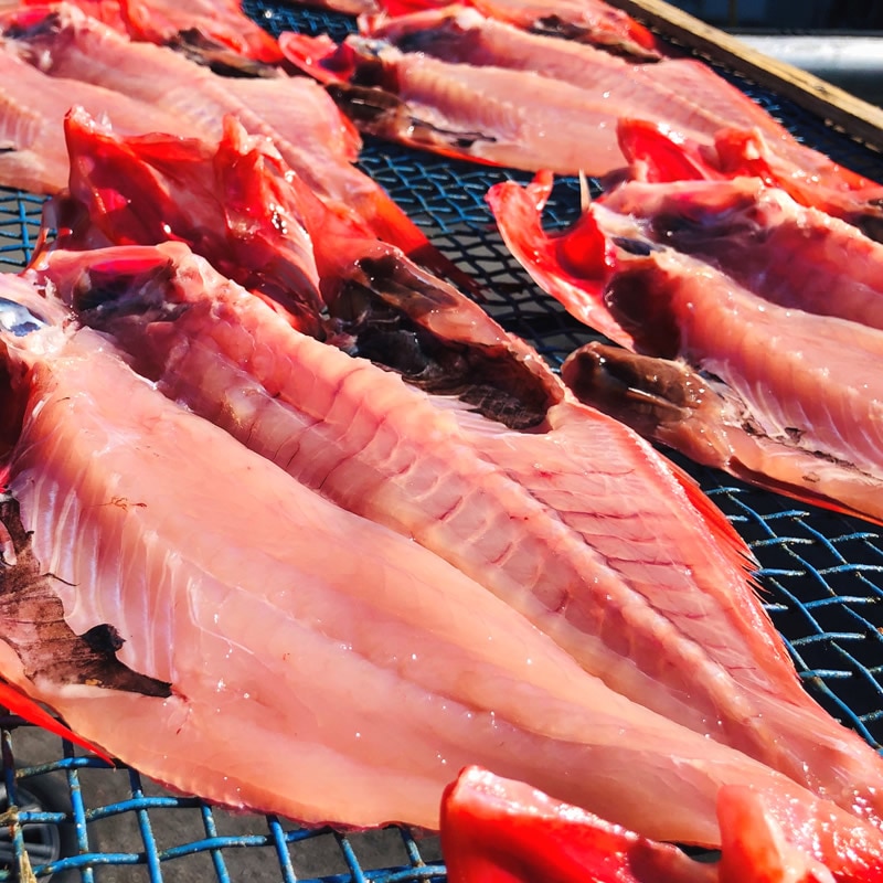 12カ月待ち ◎ フジテレビ中間管理職芸人熱海旅 放映記念セット 花エビ入り  5種12枚【干物屋ふじま】【ハイパー干物クリエイター 藤間義孝】