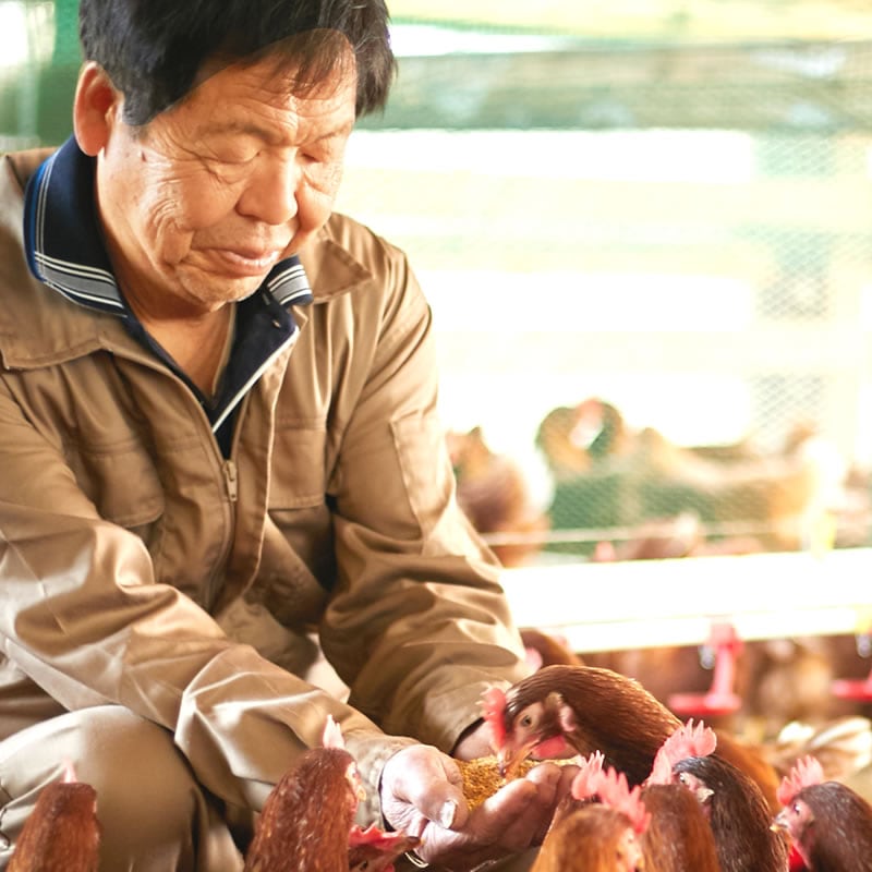 生たまご つまめるほど濃厚♪TAMAGOYA 日の出たまご 生卵10個入 【9800円以上送料無料対象＜冷蔵便＞ 】【伊豆・村の駅】