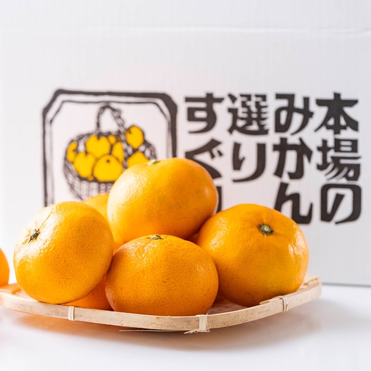 \ 季節変化が楽しい / 極早生 早生 中生 晩生 温州 みかん 3kg 【土方果樹園】