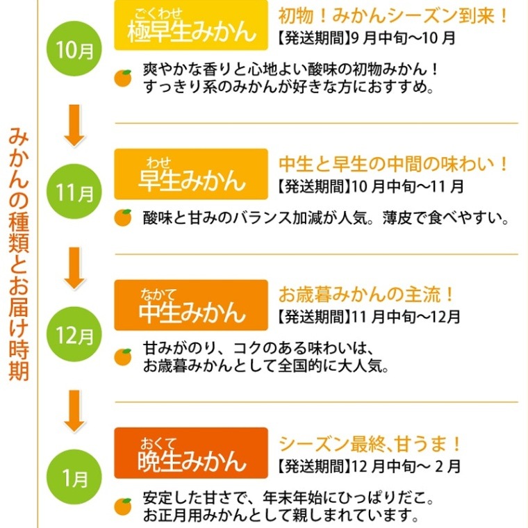 ＼ 季節変化が楽しい ／ 極早生 早生 中生 晩生  温州 みかん 5kg【土方果樹園】