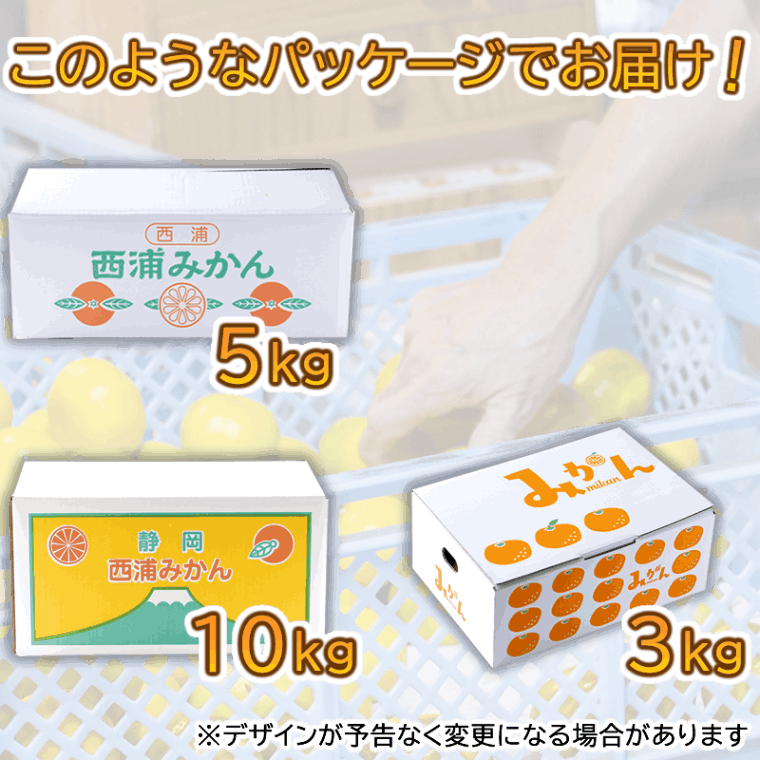 この時期だけ 人気みかん 〇 甘うま ゆら早生 由良みかん   3kg 【土方果樹園】