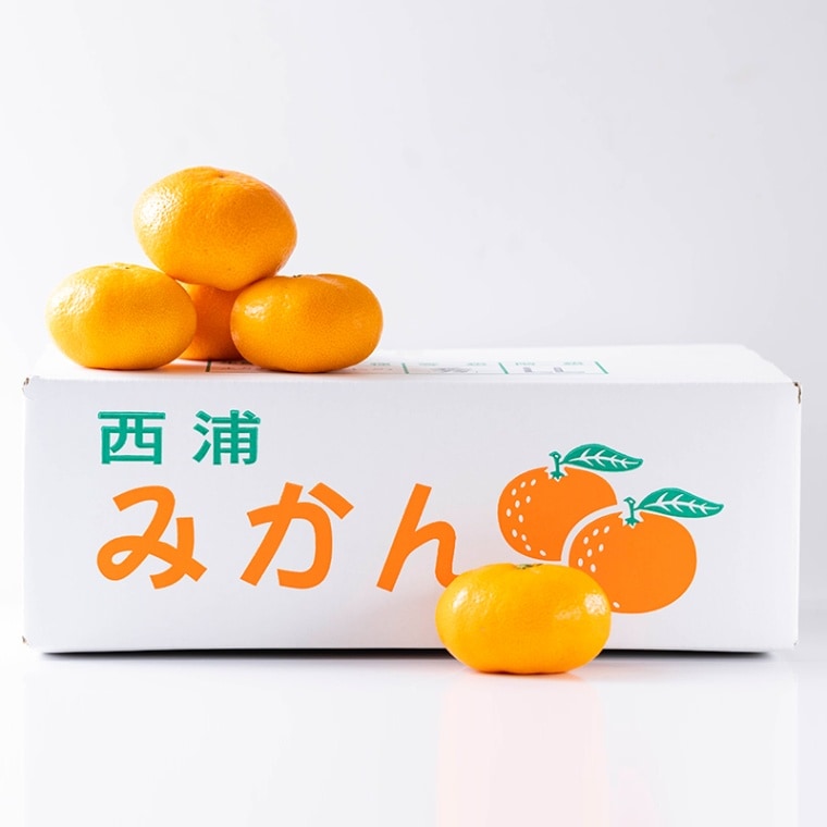 この時期だけ 人気みかん 〇 甘うま ゆら早生 由良みかん  5kg 【土方果樹園】≪産直商品につき同梱不可≫