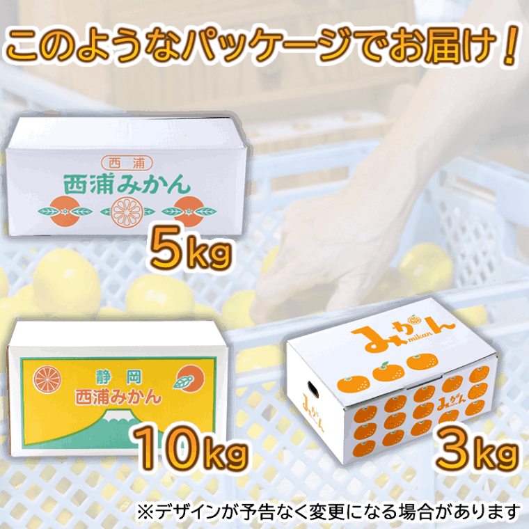 この時期だけ 人気みかん 〇 甘うま ゆら早生 由良みかん  5kg 【土方果樹園】≪産直商品につき同梱不可≫