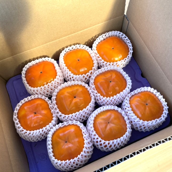 柿職人の 大きな 完全甘柿 ♪富有柿枝変わり いさはや (8～10個)  【水口農園】