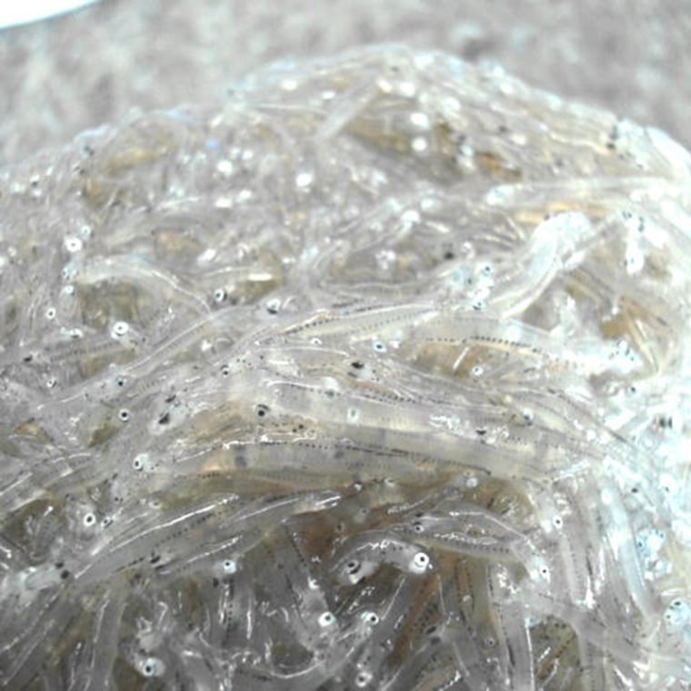 人気につき順次発送◎静岡県駿河湾産!釜あげしらす130g 3パックセット【原藤商店】 【短冊のし紙対応】