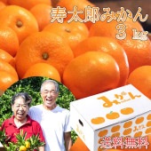 大川みかん園 l 【公式】 うまちょく便 | 静岡・山梨名物・特産品を