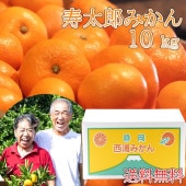 大川みかん園 l 【公式】 うまちょく便 | 静岡・山梨名物・特産品を