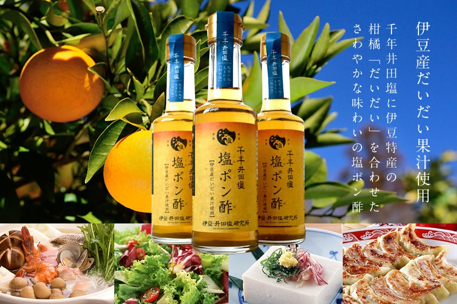 伊豆産だいだい果汁使用「千年井田塩」塩ポン酢200ml【9800円以上送料無料対象（常温）】【伊豆・村の駅】