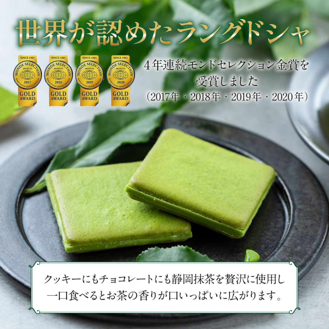 御礼 御祝 お土産定番◎静岡 お濃茶ラングドシャ さとり 24枚入 【9800円以上送料無料対象（常温）】【伊豆・村の駅】【短冊のし対応可】