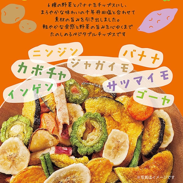 千年井田塩 ベジタブルチップス 塩ベジ 181g【9800円以上送料無料対象（常温）】【伊豆・村の駅】