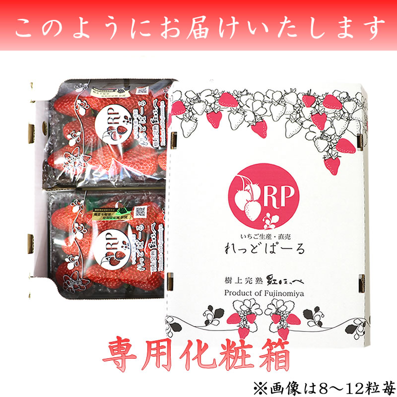 大粒サイズ 高級 樹上完熟紅ほっぺ ◎ 大粒 生いちご2パック箱入り (8~12粒/収穫出来次第発送)【富丘佐野農園(れっどぱーる)】