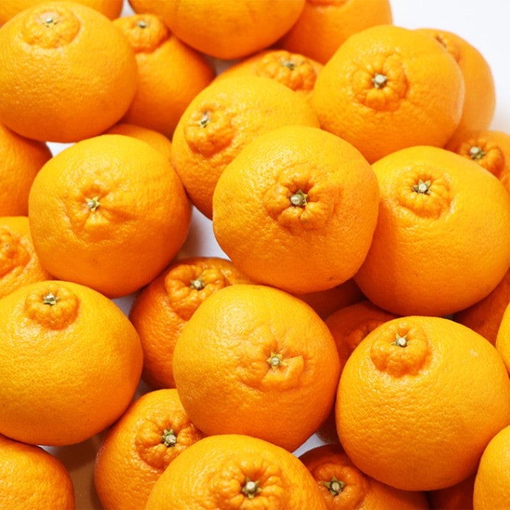 春 果物 プレゼント ギフト◎デコポンと同品種 ◎でこみかん 不知火（しらぬい） 3kg 【土方果樹園】