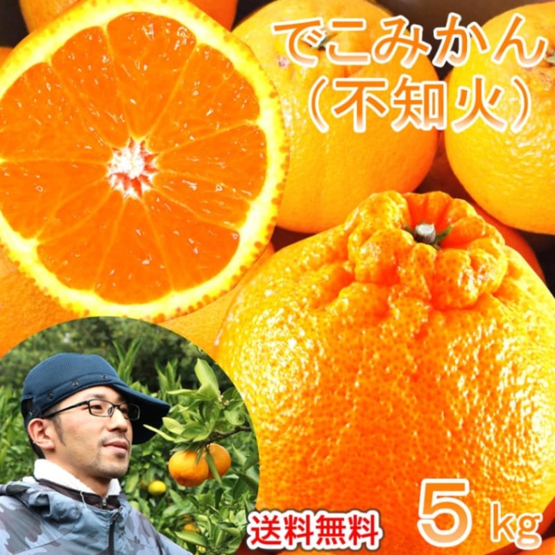 春 果物 プレゼント ギフト◎デコポンと同品種 ◎でこみかん 不知火（しらぬい） 5kg 【土方果樹園】