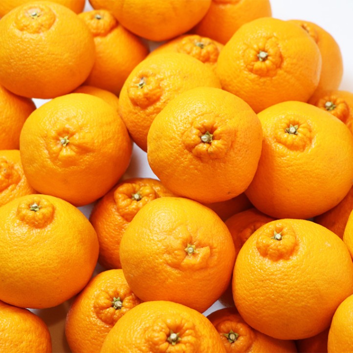 春 果物 プレゼント ギフト◎デコポンと同品種 ◎でこみかん 不知火(しらぬい) 5kg 【土方果樹園】