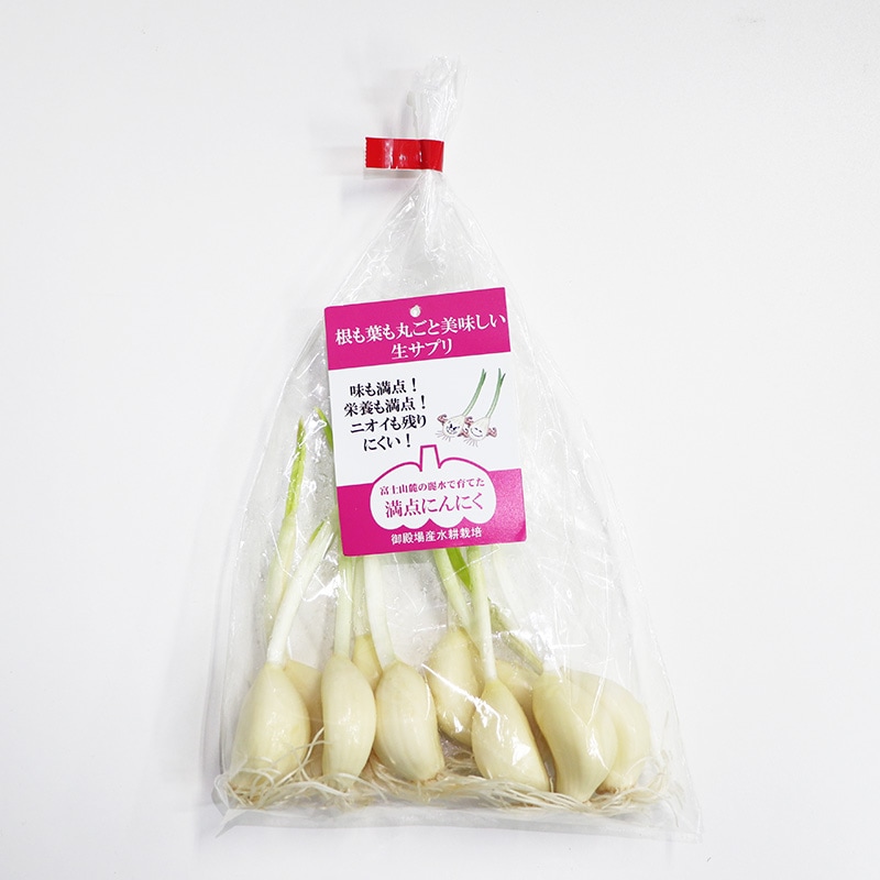 【ネコポス】≪10～5月販売予定≫ お試し≪スプライトニンニク≫ 白い芽の満点発芽にんにく 30本（10本 ×3セット）【みくりやファクトリー】