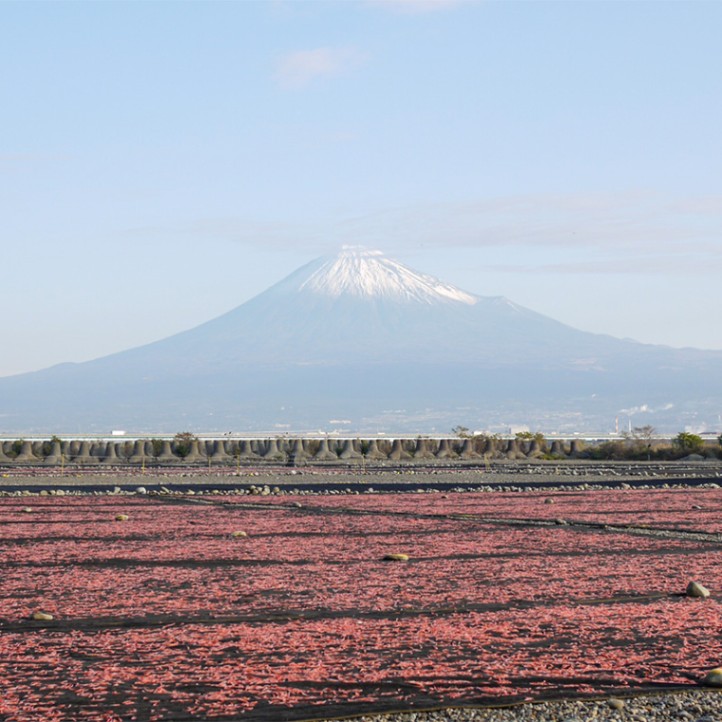 桜えび素干し  いわしの削り節 海苔いわし セット 【水谷商店】