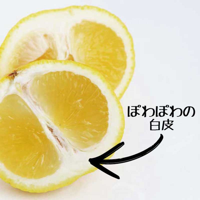 伊豆・村の駅 l 【公式】 うまちょく便 | 静岡・山梨名物・特産品を