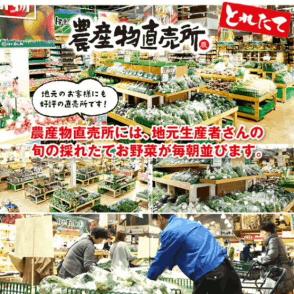 静岡県 伊豆のお野菜セット 8品以上保証！おまかせ季節の野菜詰合せセット＜冷蔵便＞ 【伊豆・村の駅】