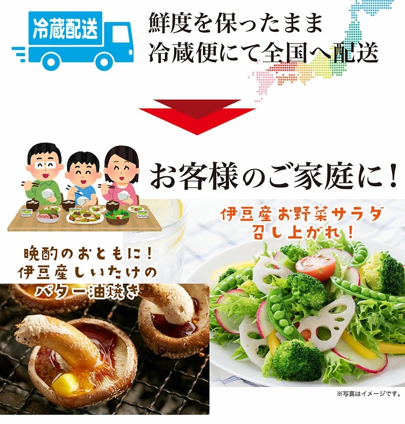 静岡県 伊豆のお野菜セット 8品以上保証！おまかせ季節の野菜詰合せセット＜冷蔵便＞ 【伊豆・村の駅】