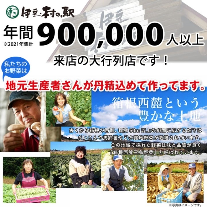 静岡県 伊豆のお野菜セット 8品以上保証！おまかせ季節の野菜詰合せセット＜冷蔵便＞ 【伊豆・村の駅】