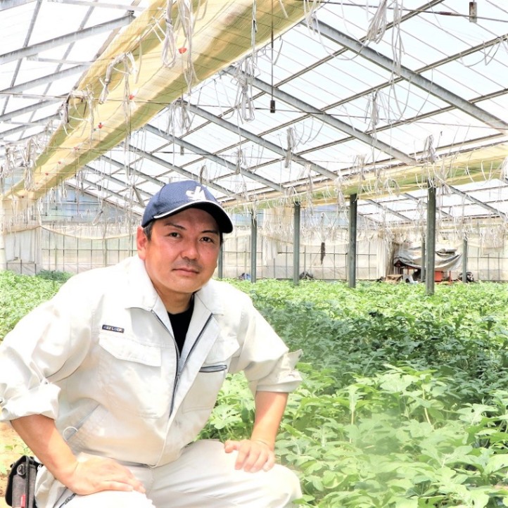 2024年完売しました◎ 毎年大人気 シャリ甘っ静岡県 函南産 スイカ 1玉 約6kg(Lサイズ目安)