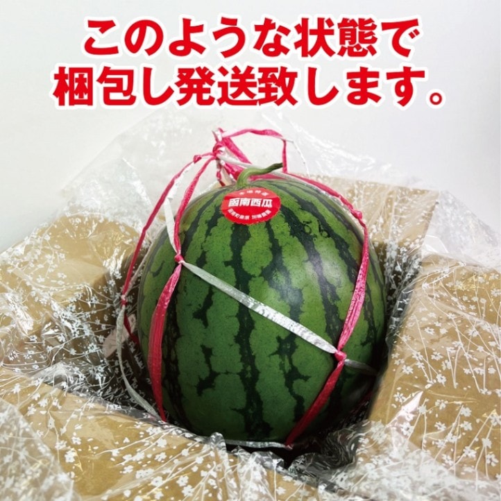 2024年完売しました◎ 毎年大人気 シャリ甘っ静岡県 函南産 スイカ 1玉 約6kg(Lサイズ目安)