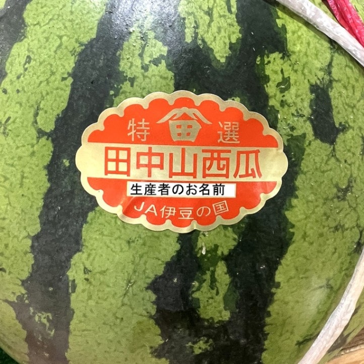 完売しました ◎ 【期間限定】 伊豆の国 田中山のスイカ 1玉　2L  約6kg 　【伊豆・村の駅】